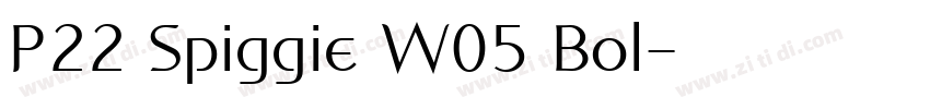 P22 Spiggie W05 Bol字体转换